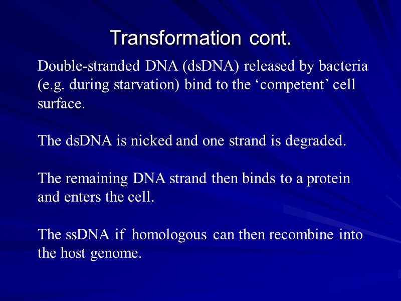 Transformation cont.  Double-stranded DNA (dsDNA) released by bacteria (e.g. during starvation) bind to